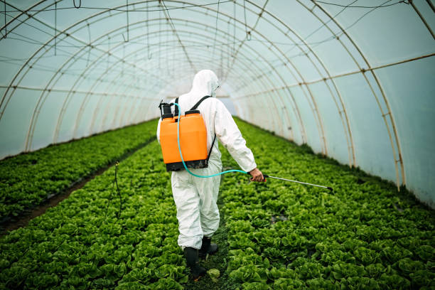 Best Pest Control Near Me  in Fruita, CO
