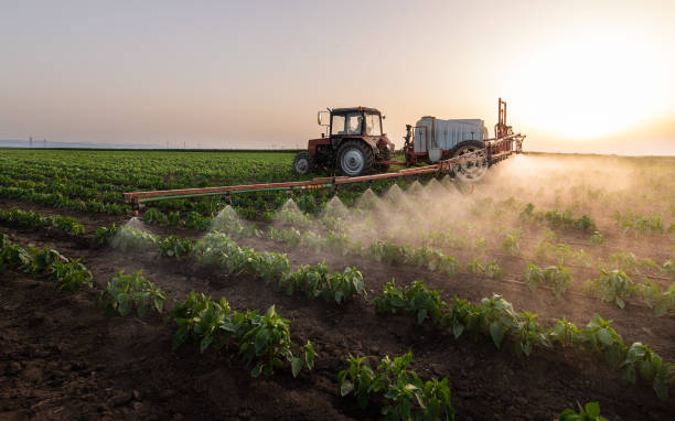 Trusted Fruita, CO Pest Control Experts