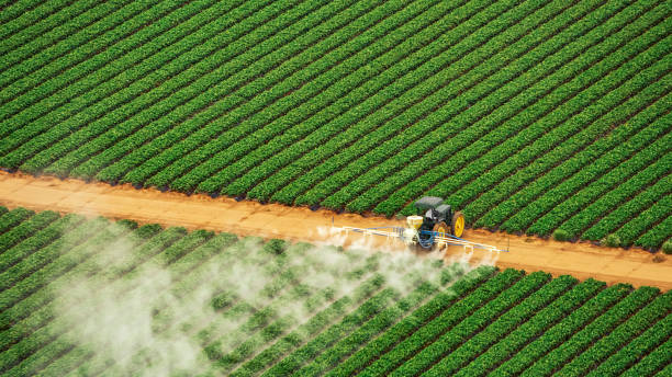 Best Best Pest Control Companies  in Fruita, CO