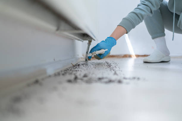 Best Pest Removal Services  in Fruita, CO