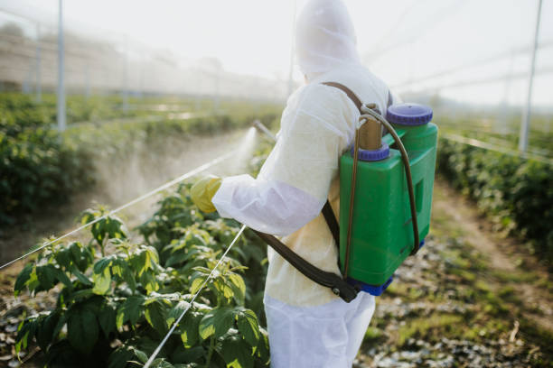 Best Local Pest Control Services  in Fruita, CO